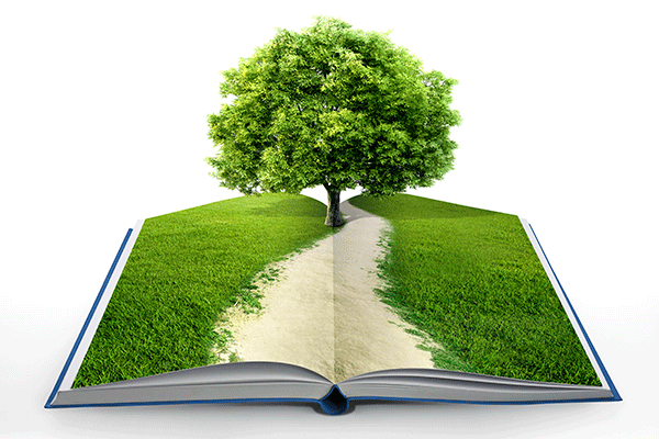 La importancia de la Educación Ambiental y sus alcances | Qué hacemos má?!